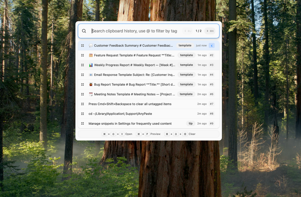 AnyPaste Application